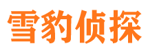 江南侦探公司